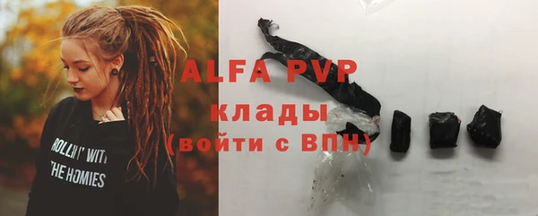 гидра Бородино
