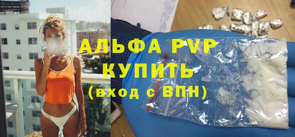 гидра Бородино
