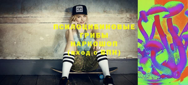 гидра Бородино